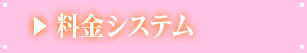 料金システム